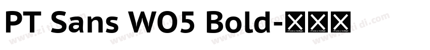 PT Sans WO5 Bold字体转换